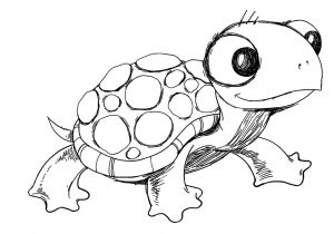 300x210 Turtle Cartoon Drawing