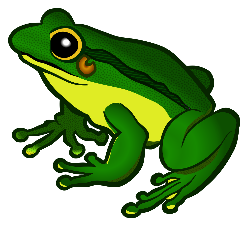 1000x911 Collection Of Free Frog Drawing Color Pencil Download On Ui Ex