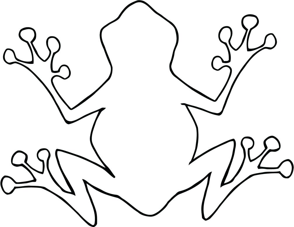 1007x778 Outline Of Frog Simple Frog Outline Wallpaper Free Latest