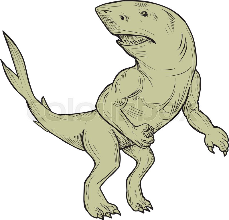 800x768 Drawing Sketch Style Illustration Of A Stock Vector Colourbox