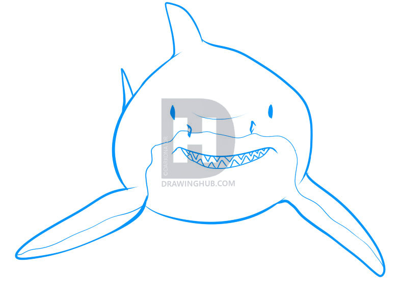 787x578 How To Draw A Shark, Step