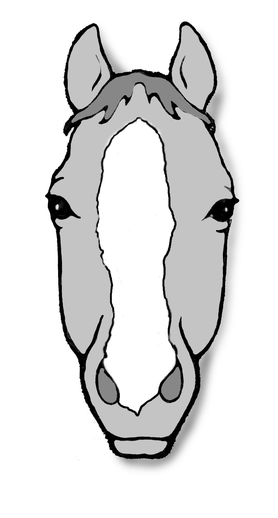 1166x2171 Horse Drawing Front Face For Free Download