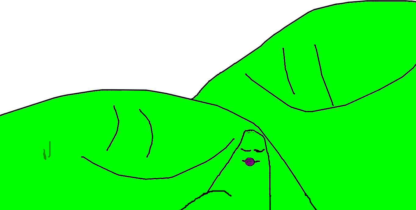 1364x689 Squiggly Line Drawing In Front Of Three Living Hills Tynker