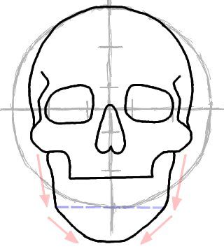 320x359 How To Draw A Skull In Front View Humans Drawings, Skull