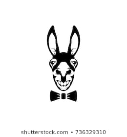 260x280 Huge Collection Of 'donkey Face Drawing' Download More Than