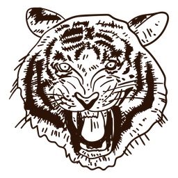 256x256 Tigers Drawing Front Face Transparent Png Clipart Free Download