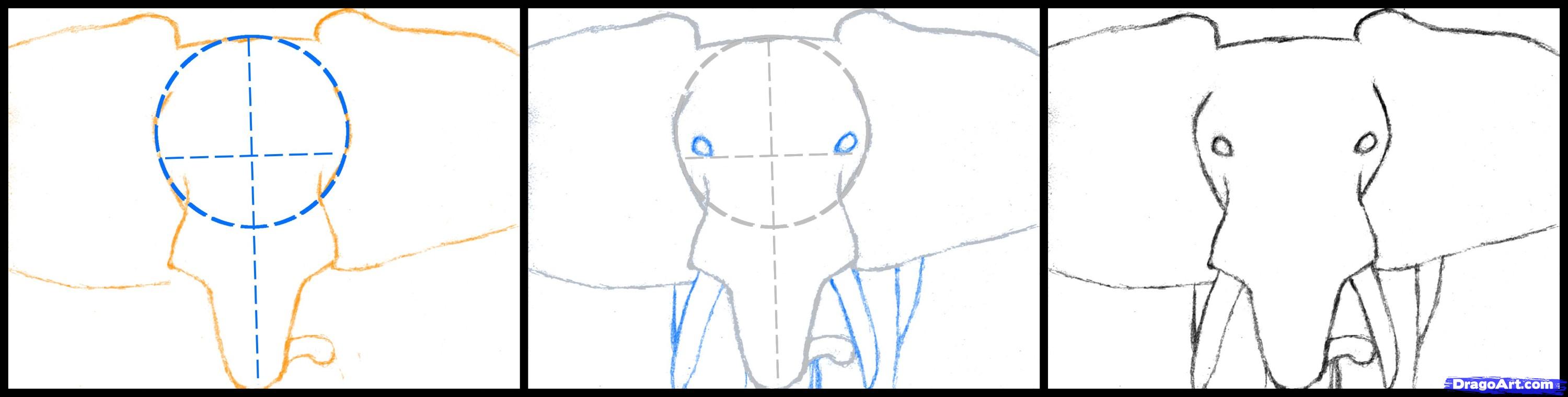 3000x760 How To Draw An Elephant Head, African Elephant, Step