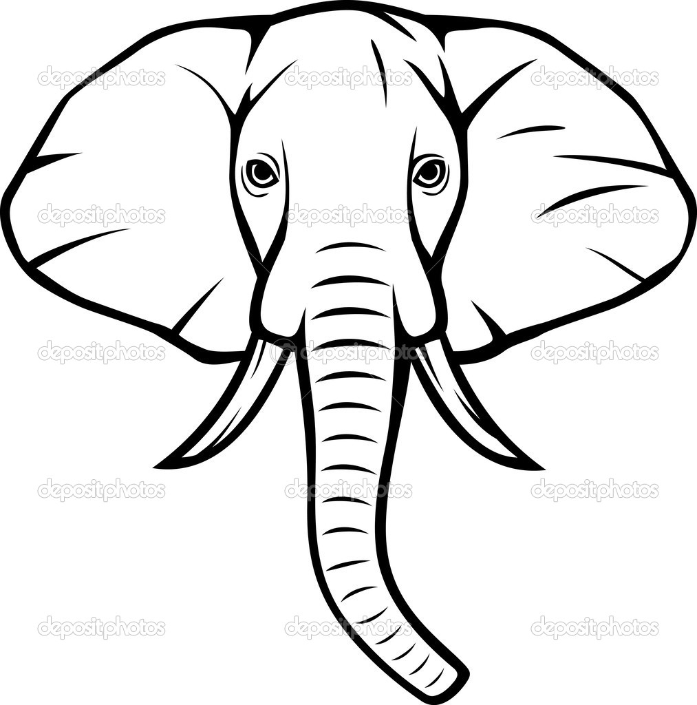 1013x1024 Elephant Drawing Face For Free Download