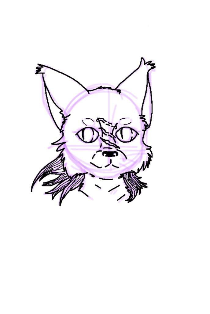 687x1024 Aurora Frost Eyes