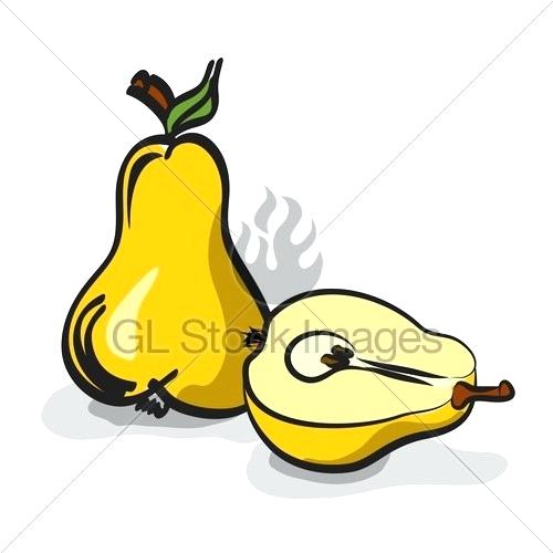 500x500 fruits sketch drawing fresh exotic fruits sketch vector isolated