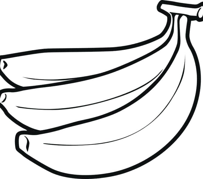 678x600 Drawing Fruit