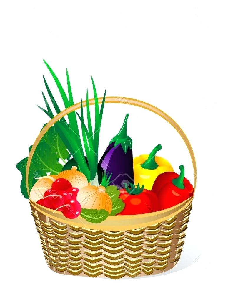 775x970 Draw A Fruit Basket