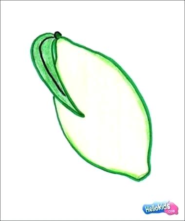 380x454 Drawing Of Fruit Basket For Kids