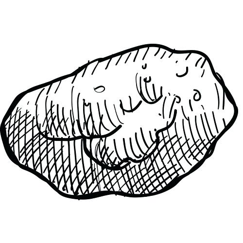 500x500 pencil sketches of fruits thumbnail sketch pencil sketches fruit