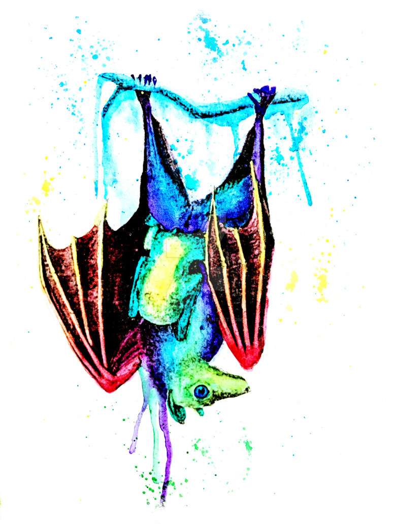 774x1032 Rainbow Fruit Bat