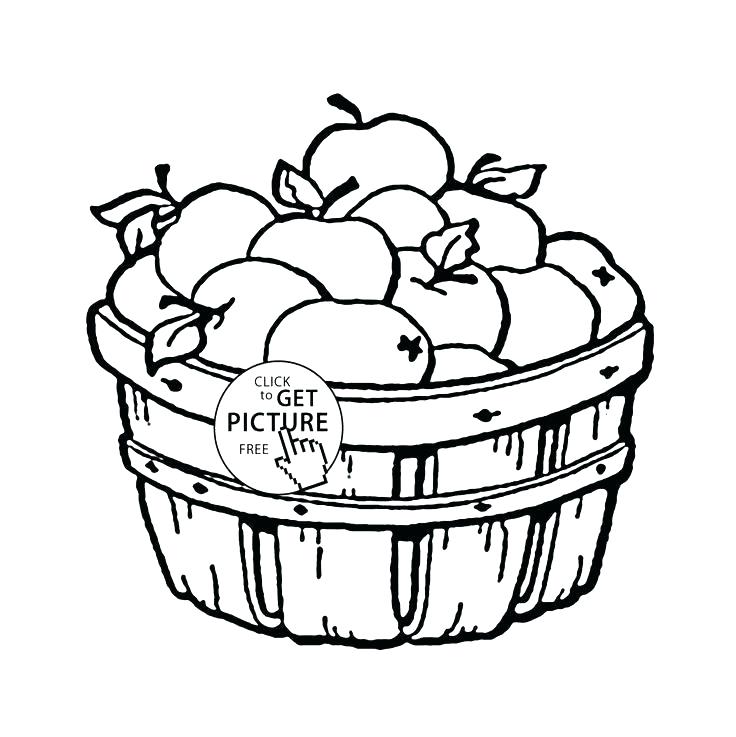 Fruit Bowl Drawing | Free download on ClipArtMag