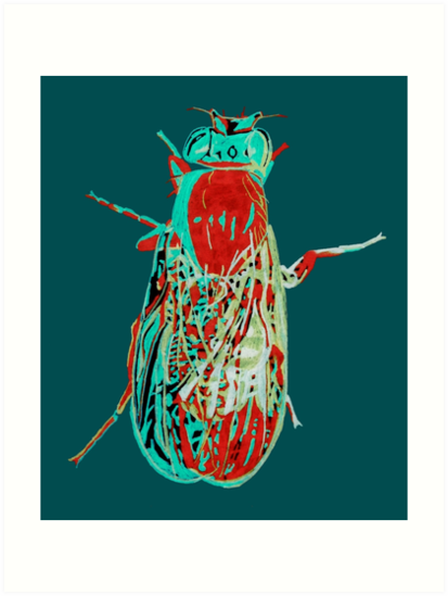413x549 Fruit Fly Art Prints