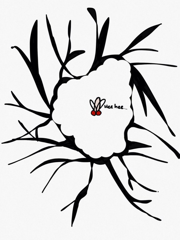 600x800 A Love Letter To The Fruit Fly Brain Botsandbrainz