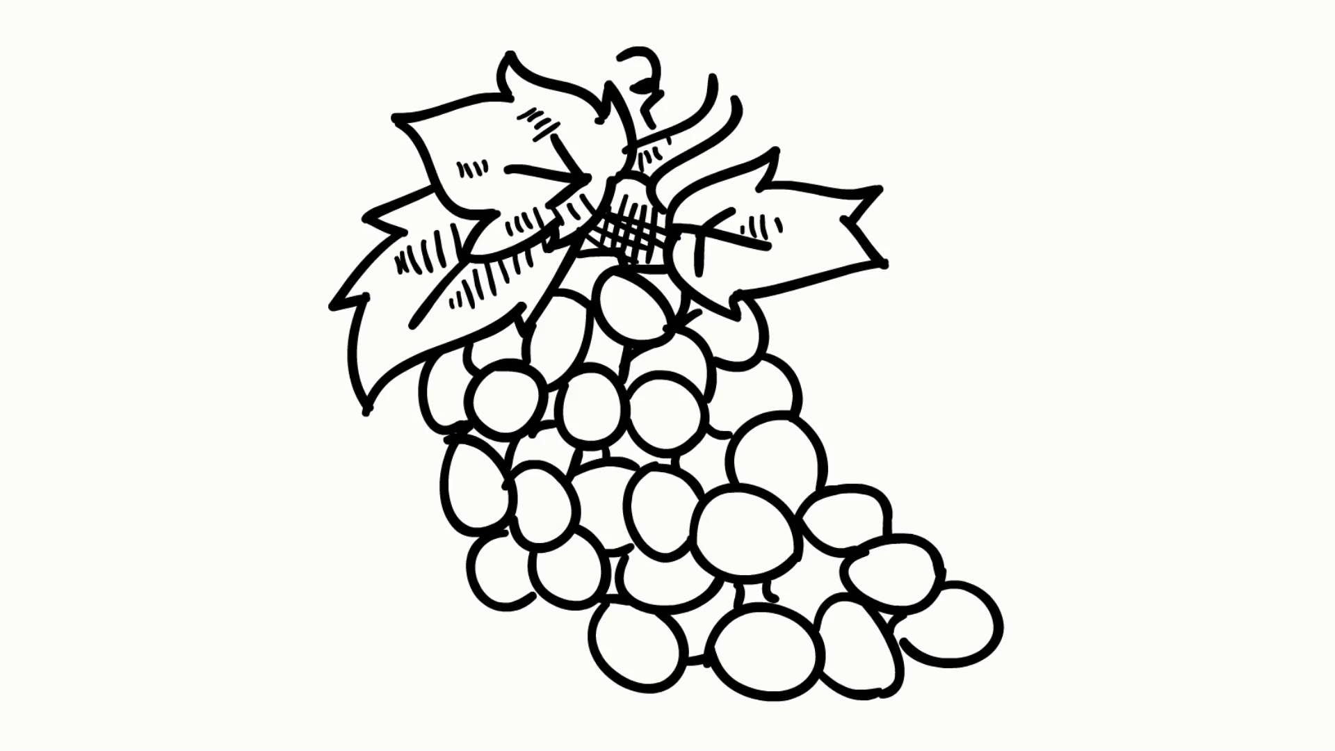 1920x1080 Grapes Fruit Food Line Drawing Illustration Animation Transparent
