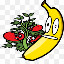 260x260 Chef Salad Png