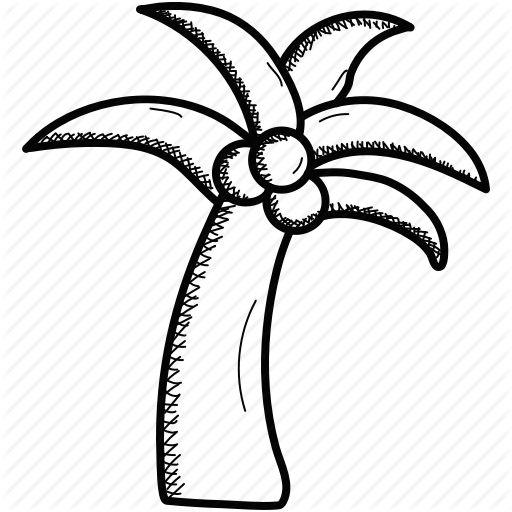 512x512 Collection Of Free Coconut Drawing Fruit Download On Ui Ex