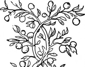 298x233 Fruit Trees Drawings Free Vectors Ui Download