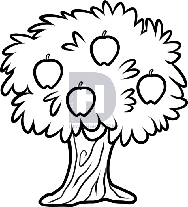 652x720 How To Draw A Fruit Tree, Step