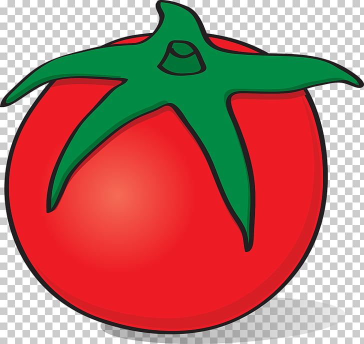 728x688 fruit tomato vegetable drawing tomato png clipart free