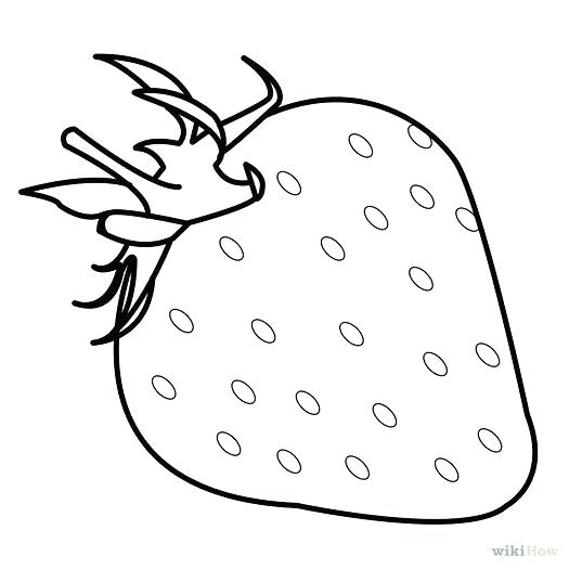 525x525 Fruits Drawings