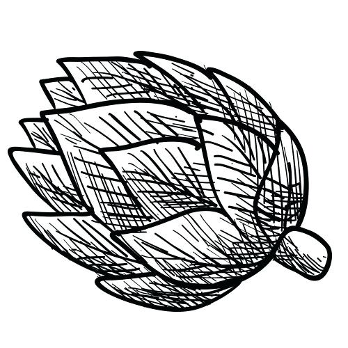 500x500 Pencil Sketches Of Fruits And Vegetables Drawings Of Produce