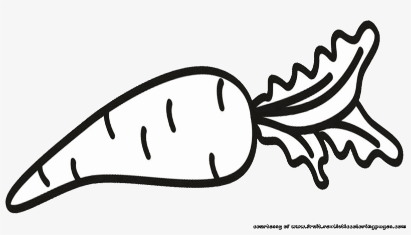 820x470 Simple Fruits Clipart Carrot Vegetables Peas Clipart Black