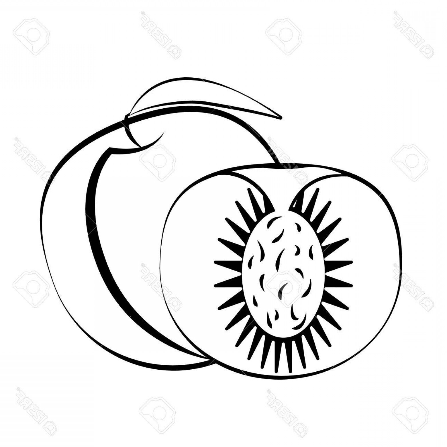 1560x1560 Clipartck And White Fruits Red Images Of Eating Pictures Clipart