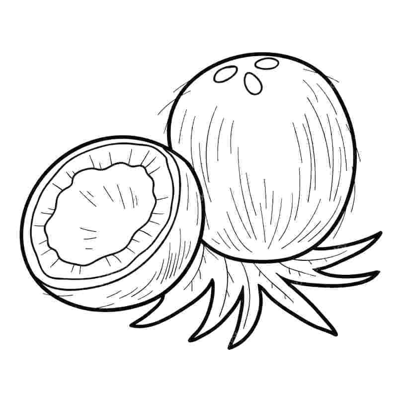 809x809 Fruits Drawing Worksheets Easy Fruit Basket Artists Step