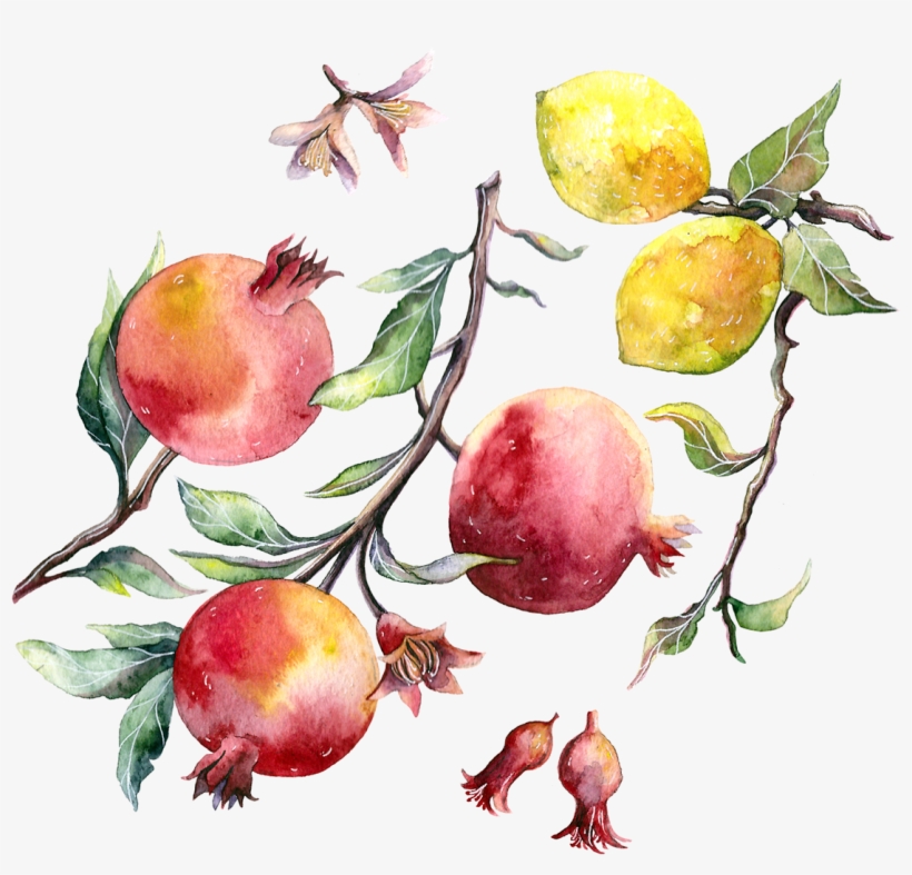 820x787 Fruits On Behance