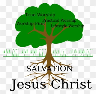 320x312 Papaya Clipart Buahbuahan