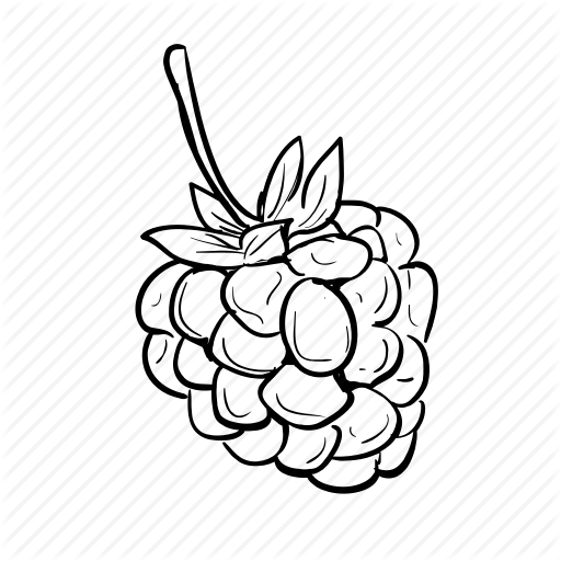 512x512 Vector Fruits Draw Transparent Png Clipart Free Download