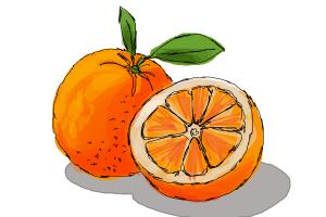300x200 How To Draw Fruit Step