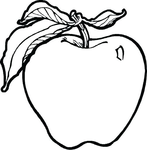 503x512 Drawing Fruits For Kids