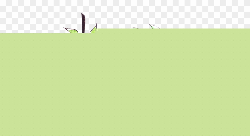 840x458 Hand Drawing Of Fruits, Berries And Plants