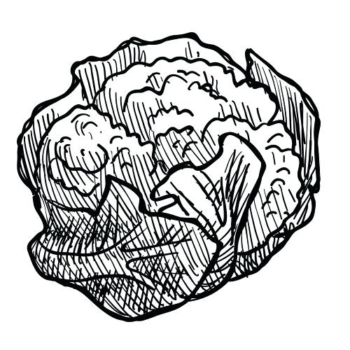 500x500 Drawing Fruits Match Vegetables Worksheets Drawing Fruits