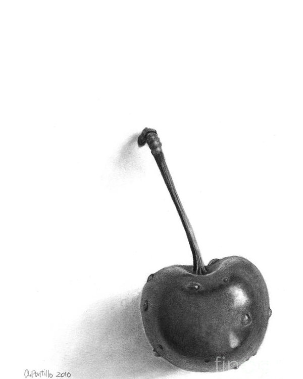 600x750 Cherry Pencil Drawing Poster
