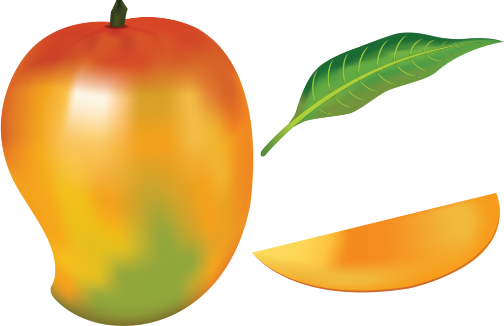1024x662 Drawing Fruit Mango Huge Freebie! Download For Powerpoint