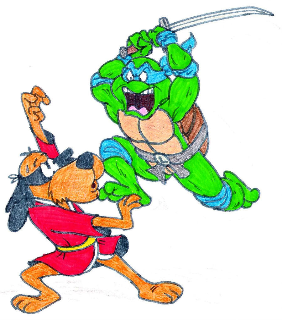 900x1018 Kung Fu Dog Vs Ninja Turtle
