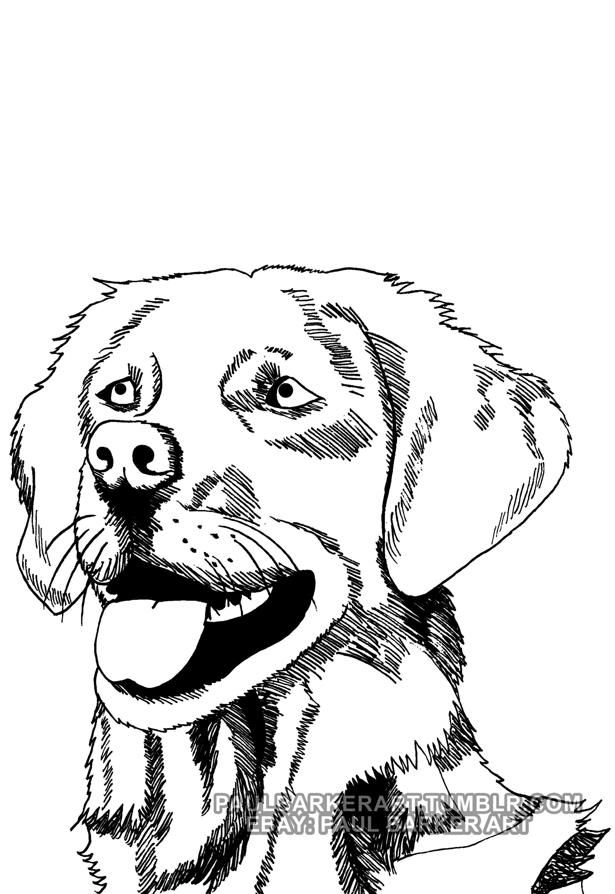 2064x3000 Doggo Drawing For Free Download