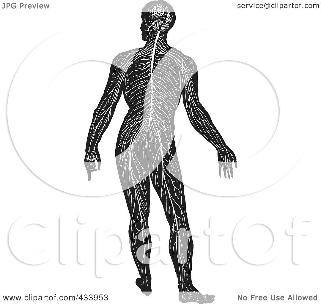 1080x1024 Royalty Free