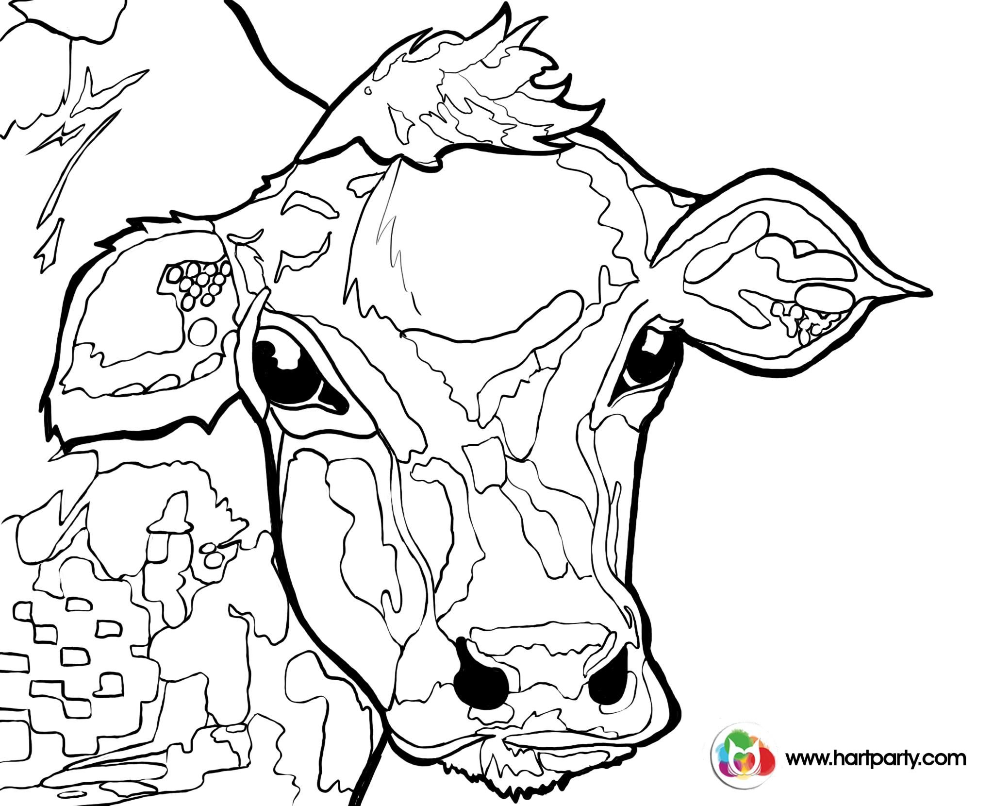 2048x1660 Traceable Colorful Cow Painting Acrylic Tutorial Beginner