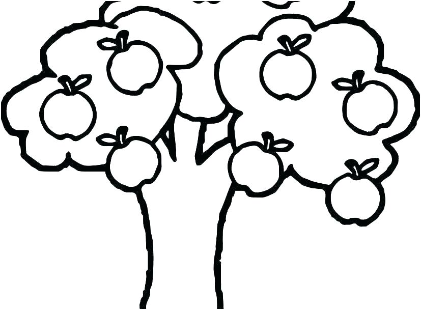 827x609 Barbie Drawing Pages