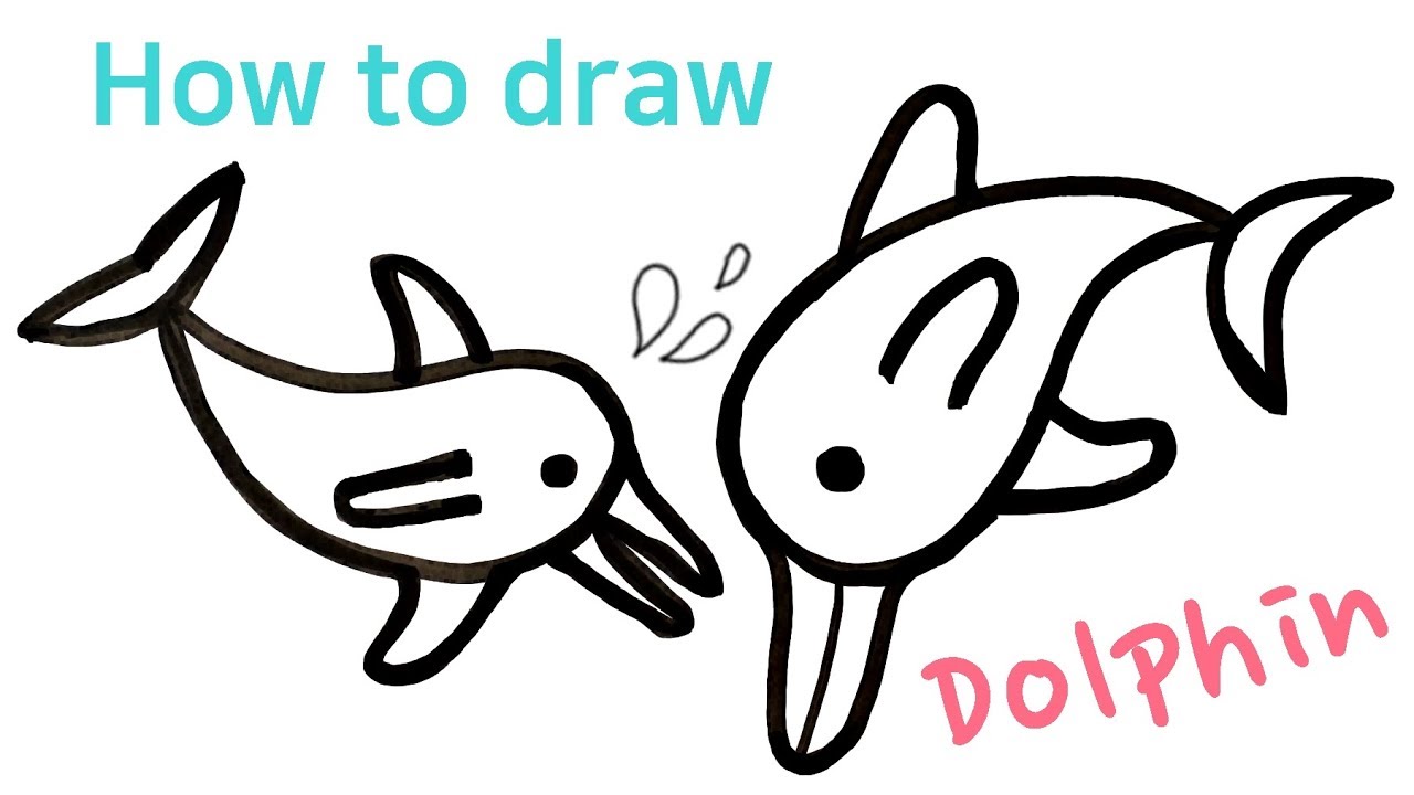 1280x720 Dolphin Coloring And Drawing For Kids And Toddlers How To Draw