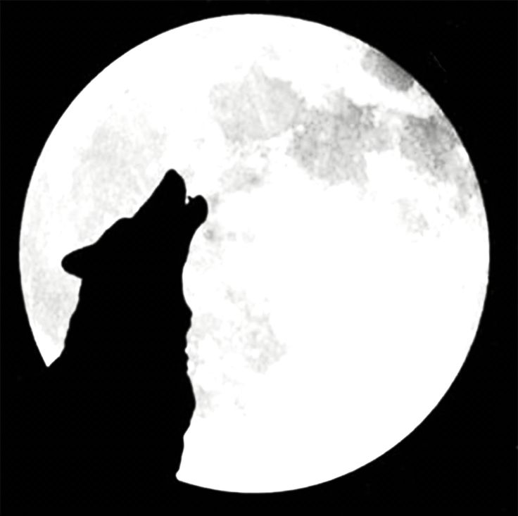 736x733 Graveyard Drawing Full Moon For Free Download