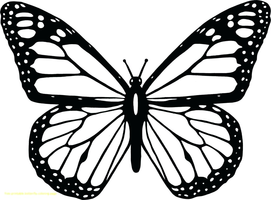 1024x758 Flying Butterfly Drawings With Color Tribal In Helpful To Easily